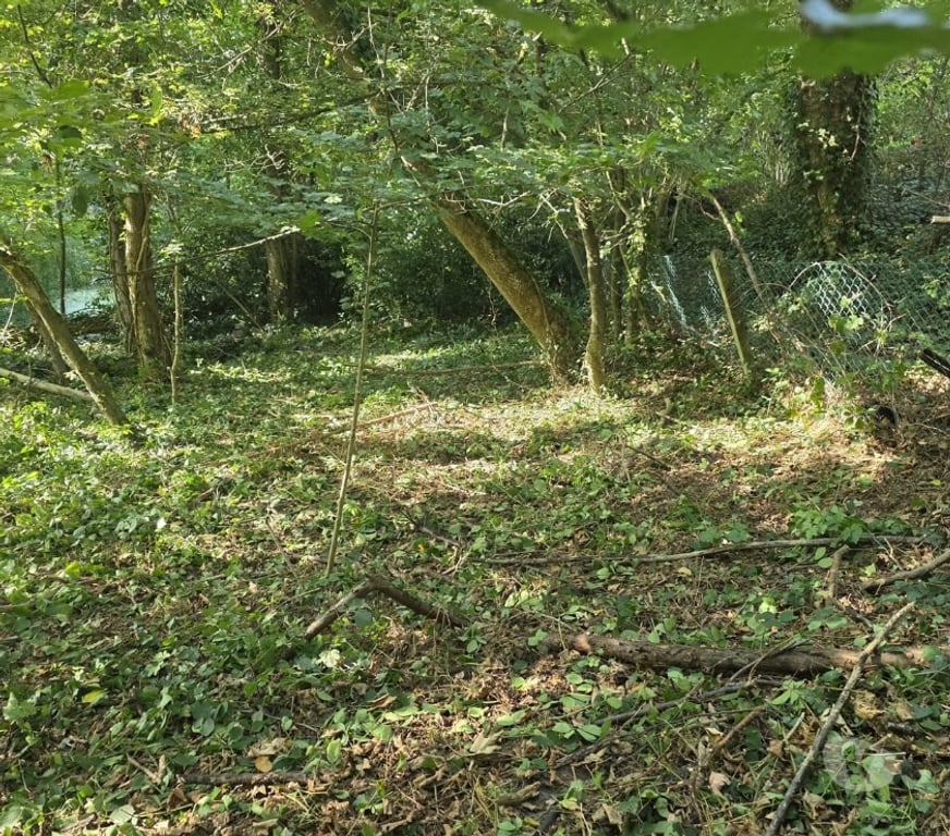 Terrains à vendre Lasne - Photos Vivastreet Terrain constructible à vendre 399000