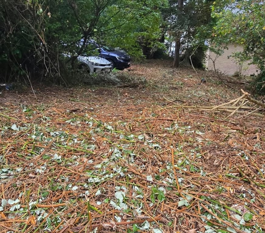 Terrains à vendre Lasne - Photos Vivastreet Terrain constructible à vendre 399000
