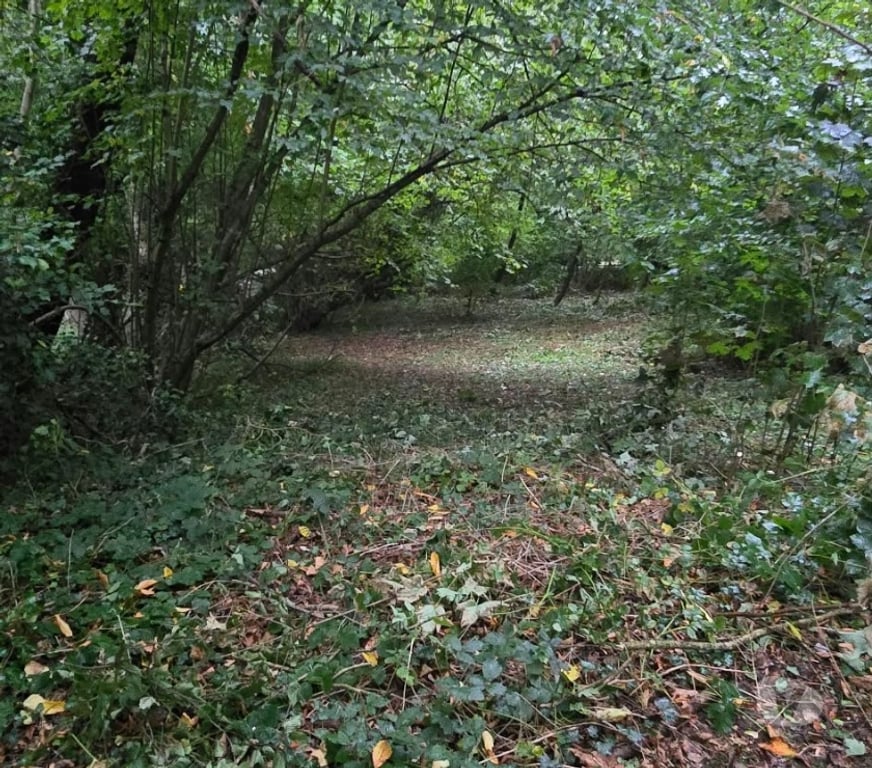 Terrains à vendre Lasne - Photos Vivastreet Terrain constructible à vendre 399000