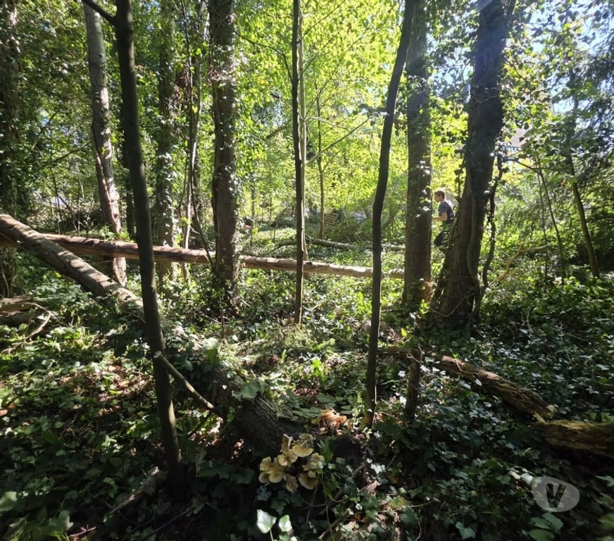 Terrains à vendre Lasne - Photos Vivastreet Terrain constructible à vendre 399000