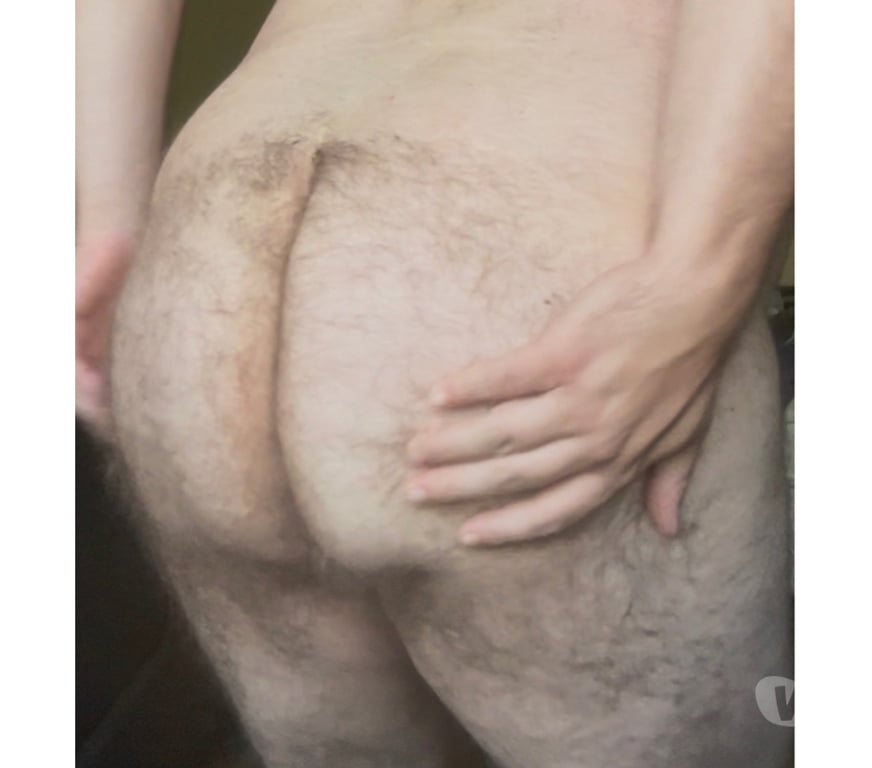 Gay Bastogne - Photos Vivastreet Passif gros et poilu ch H Mature actif pour vendredi 20h