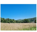 Agimont - Hastière — Agimont : grands terrains de +- 55 ares, belle situation.
