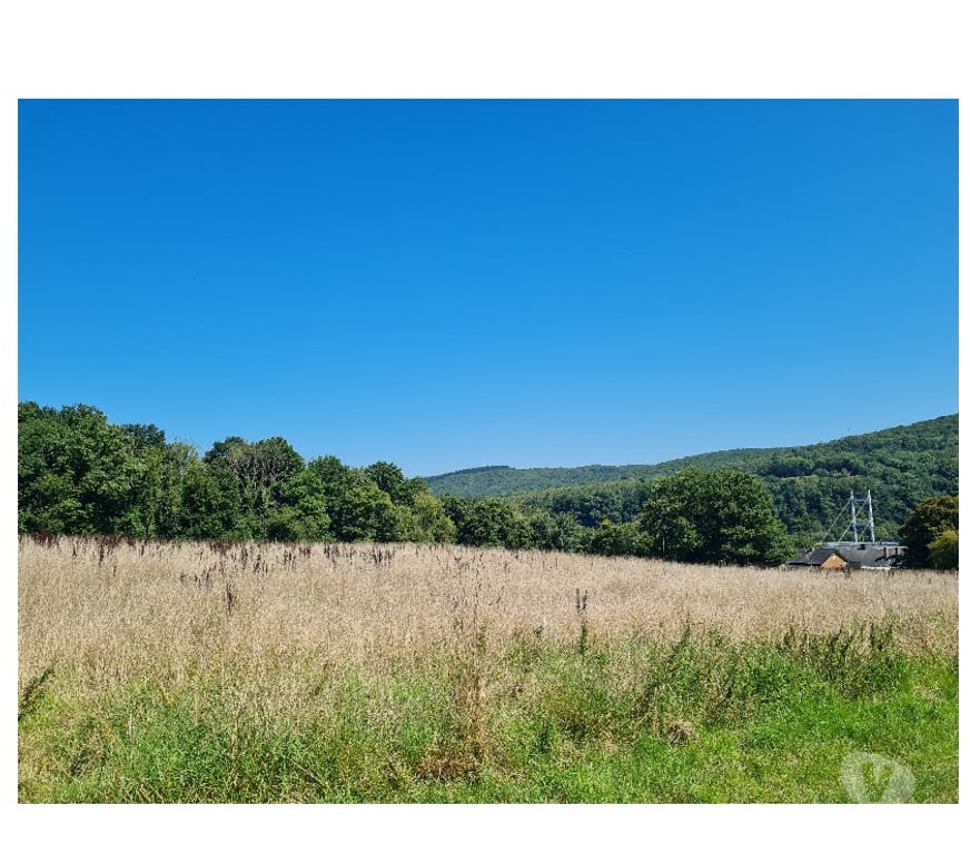 Terrains à vendre Hastière Agimont - Photos Vivastreet Agimont : grands terrains de +- 55 ares, belle situation.