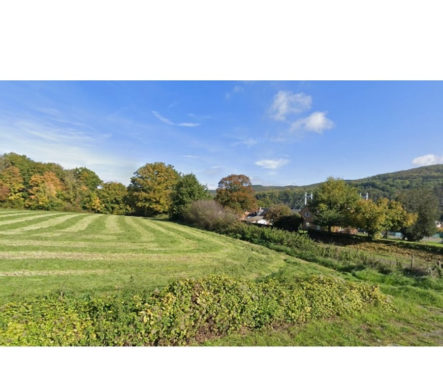 Terrains à vendre Hastière Agimont - Photos Vivastreet Agimont : grands terrains de +- 55 ares, belle situation.