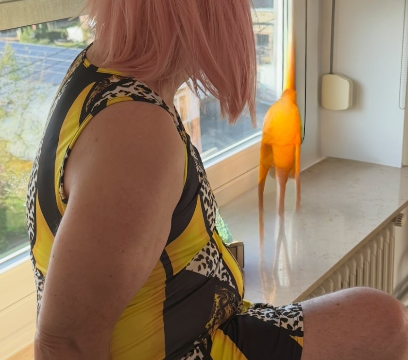 Gay Verviers Heusy - Photos Vivastreet Tu veux être femme