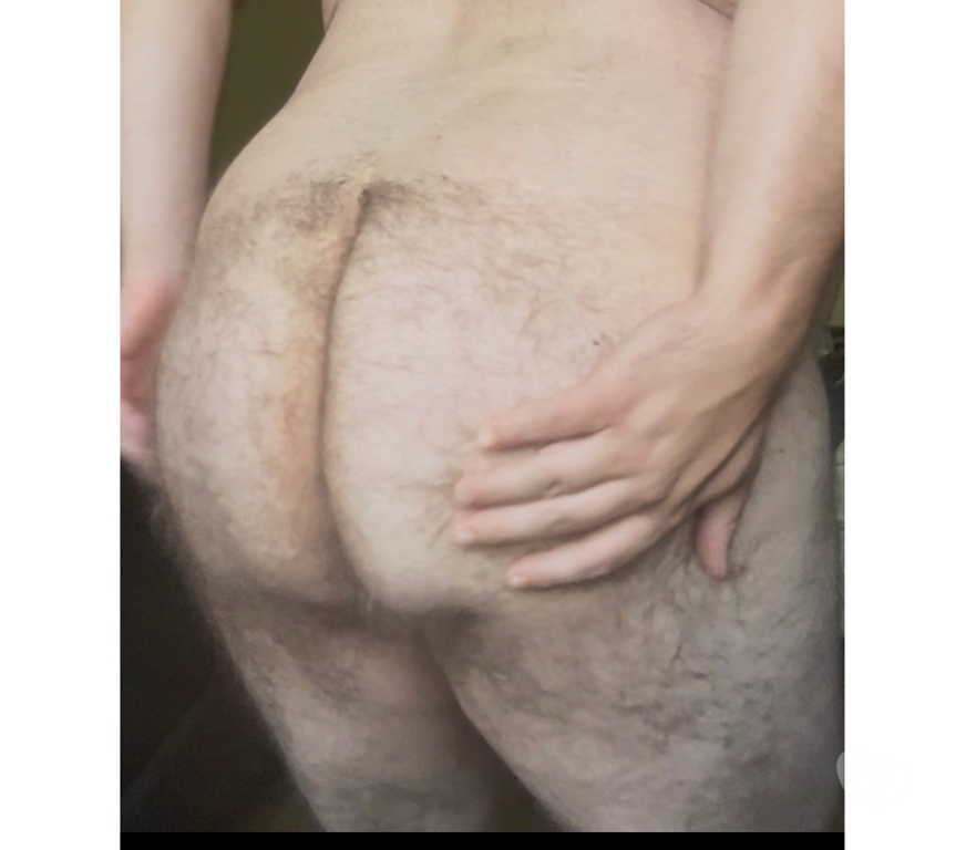 Gay Marche-en-Famenne - Photos Vivastreet Passif poilu et gros ch H Mature Actif uniquement