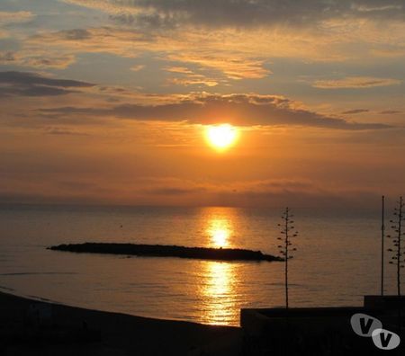 location saisonniere Pyrénées-Orientales Le Barcares - 66420 - Photos Vivastreet FACE MER - PARKING