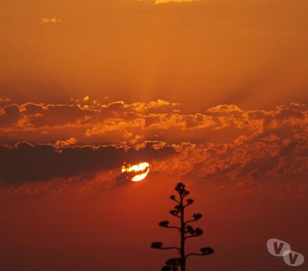 location saisonniere Pyrénées-Orientales Le Barcares - 66420 - Photos Vivastreet VACANCES FACE à la MER... 