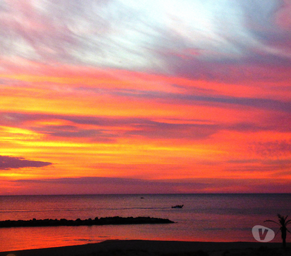 Location de vacances Le Barcares Pyrénées-Orientales - Photos Vivastreet VACANCES FACE à la MER...