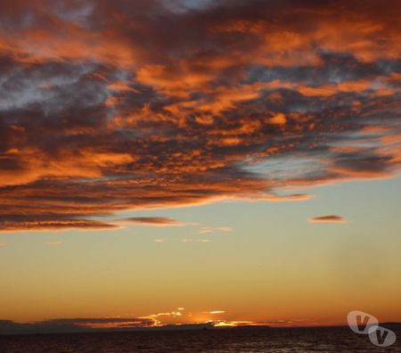 location saisonniere Pyrénées-Orientales Le Barcares - 66420 - Photos Vivastreet LOUE APPARTS**** pour 1 à 4 pers. FACE MER-WIFI-PARKING.