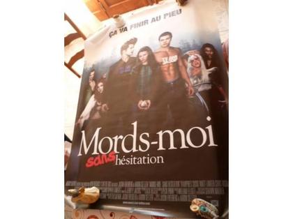 Décoration - art Feves Moselle - Photos Vivastreet Poster cinéma twilight parodie film TV goodies géant cullen