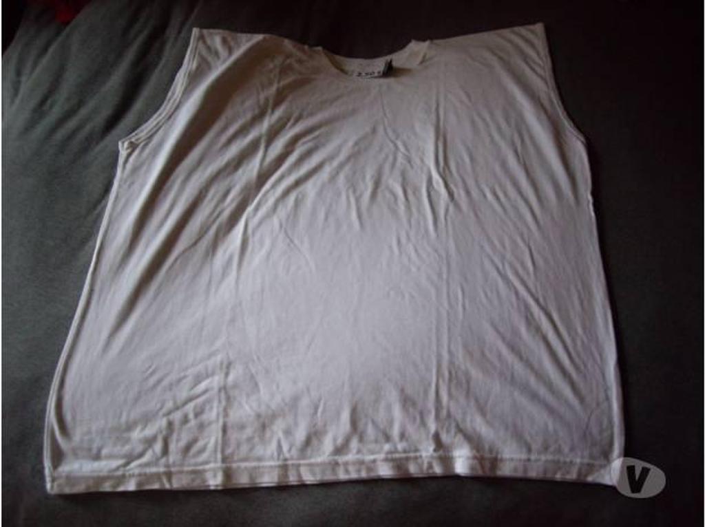 Vêtements occasion Bas-Rhin Bouxwiller - 67330 - Photos Vivastreet Débardeurs sans manches Homme T.L à T.XXL