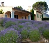 Villa de vacances Feel Home Dieulefit (Piscine & Tennis)