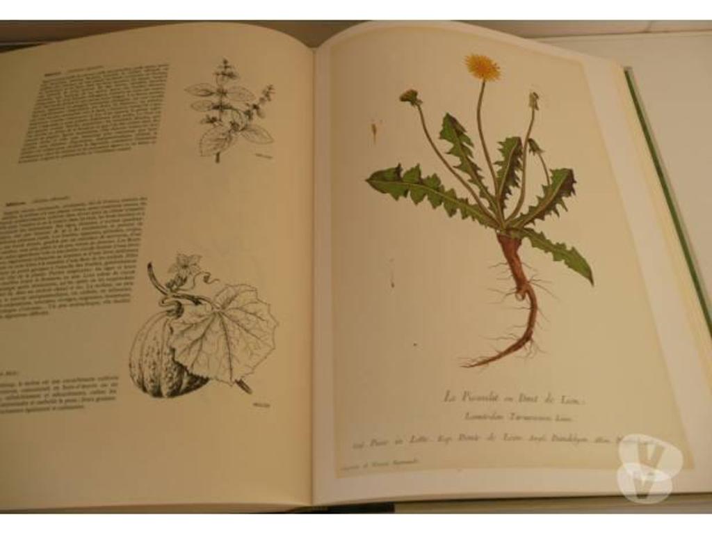 Livres occasion Seine-et-Marne Meaux - 77100 - Photos Vivastreet SANTE ET BEAUTE PAR LES PLANTES - J.AUDY et J. FONDIN