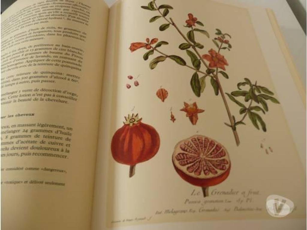Livres occasion Seine-et-Marne Meaux - 77100 - Photos Vivastreet SANTE ET BEAUTE PAR LES PLANTES - J.AUDY et J. FONDIN