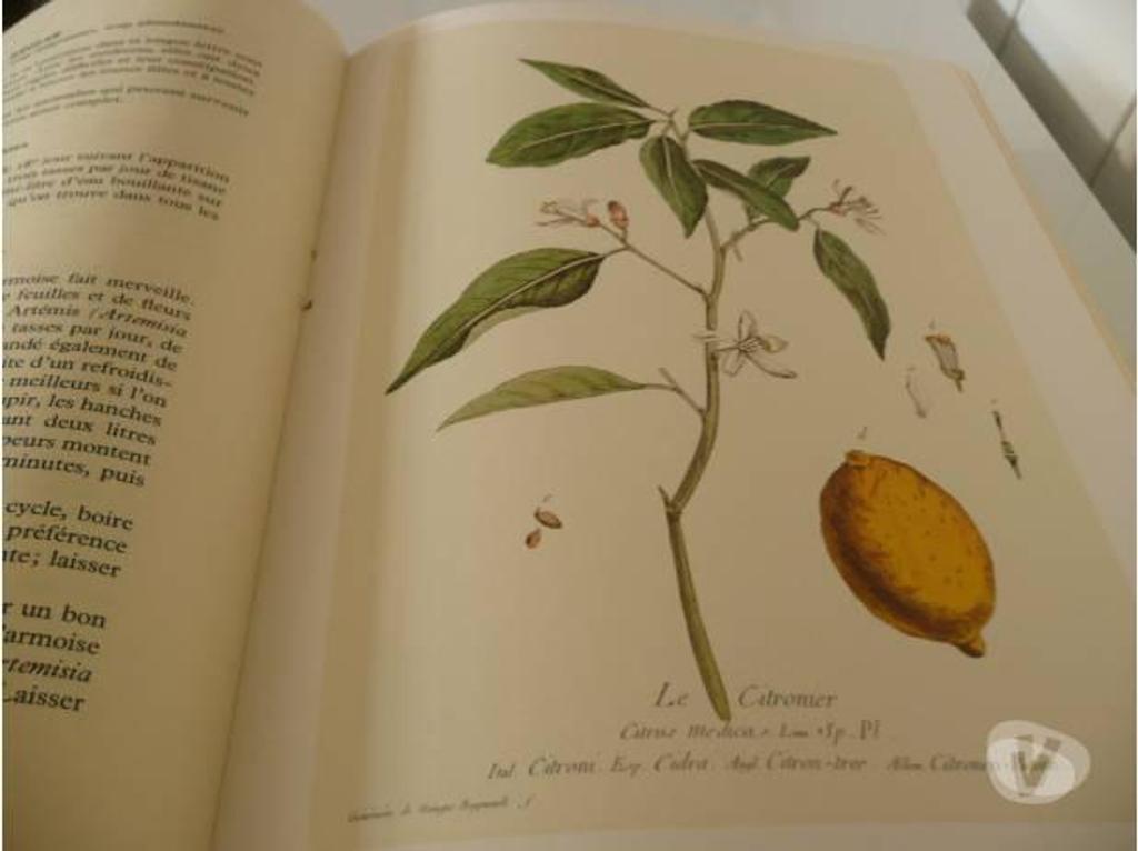 Livres occasion Seine-et-Marne Meaux - 77100 - Photos Vivastreet SANTE ET BEAUTE PAR LES PLANTES - J.AUDY et J. FONDIN