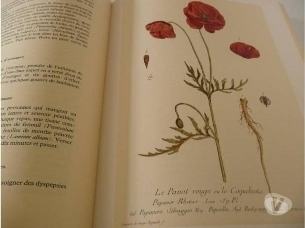 Livres occasion Seine-et-Marne Meaux - 77100 - Photos Vivastreet SANTE ET BEAUTE PAR LES PLANTES - J.AUDY et J. FONDIN