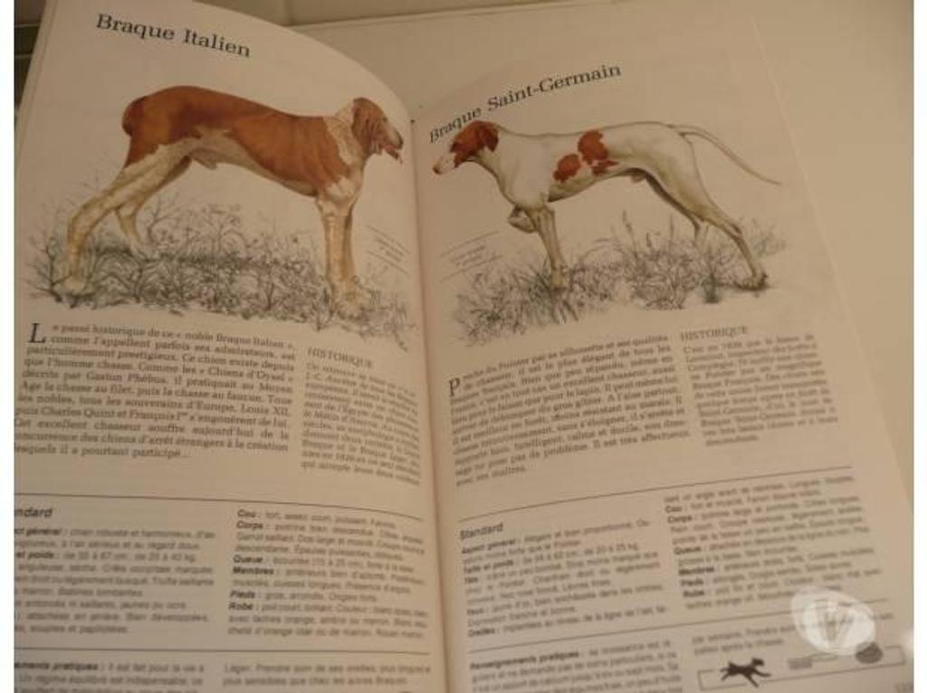 Livres occasion Seine-et-Marne Meaux - 77100 - Photos Vivastreet GUIDE DES CHIENS Sélection Reader's Digest 1982