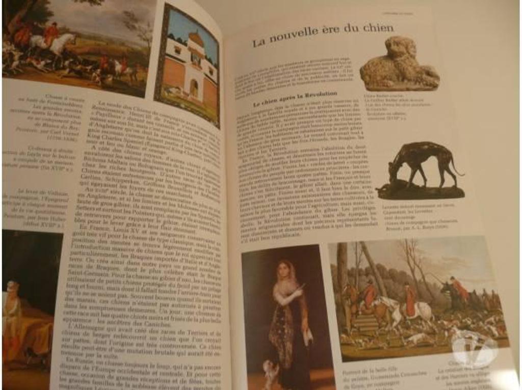 Livres occasion Seine-et-Marne Meaux - 77100 - Photos Vivastreet GUIDE DES CHIENS Sélection Reader's Digest 1982
