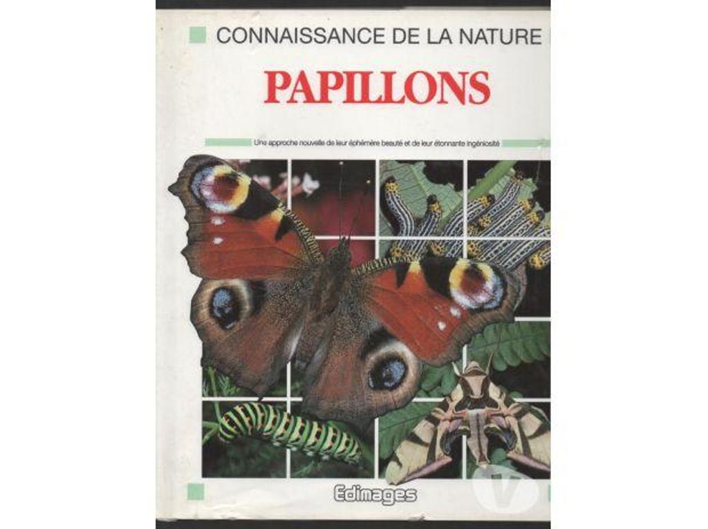 Livres occasion Tarn-et-Garonne Montauban - 82000 - Photos Vivastreet Connaissance de la nature PAPILLONS Une approche nouvelle