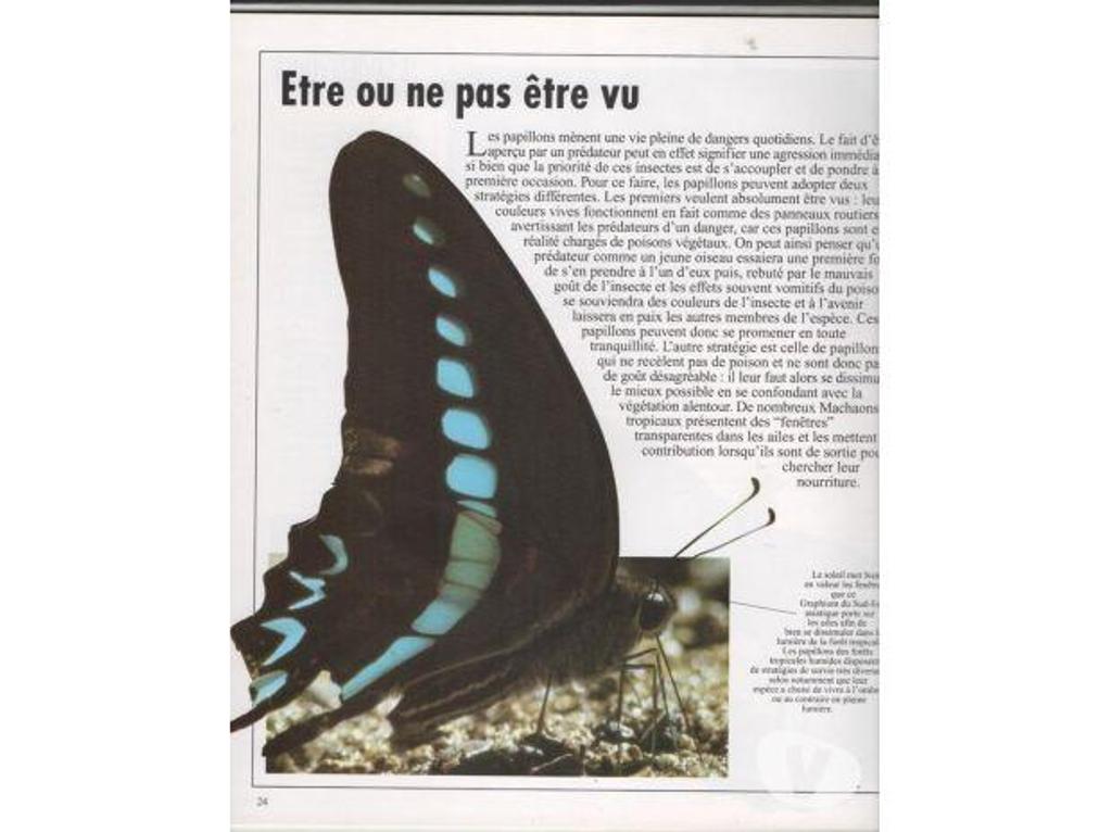 Livres occasion Tarn-et-Garonne Montauban - 82000 - Photos Vivastreet Connaissance de la nature PAPILLONS Une approche nouvelle