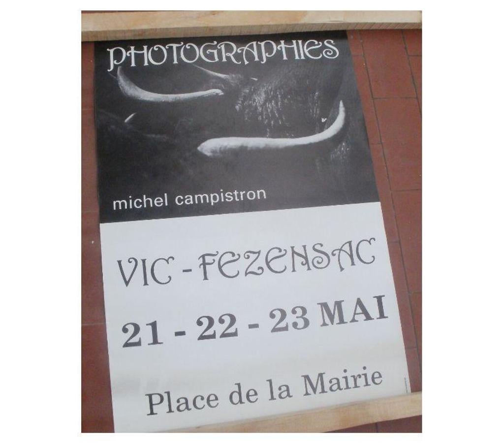 Collection Tarn-et-Garonne Montauban - 82000 - Photos Vivastreet AFFICHE EXPO photographe Michel Campistron à VIC