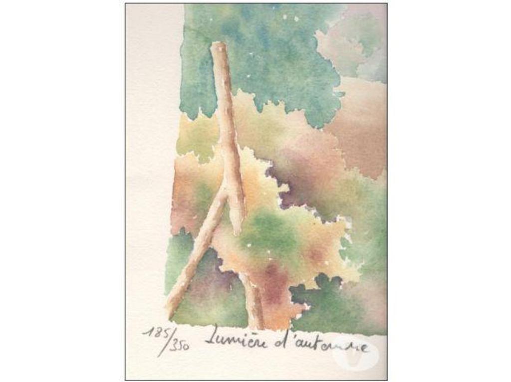 Décoration - art Tarn-et-Garonne Montauban - 82000 - Photos Vivastreet LUMIERE D´AUTOMNE Lithographie aquarelle de Salvador CAVALLE