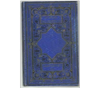 Livres occasion Montauban Tarn-et-Garonne - Photos Vivastreet 1884 Xavier MARMIER Le succès par la persévérance 12 histoir