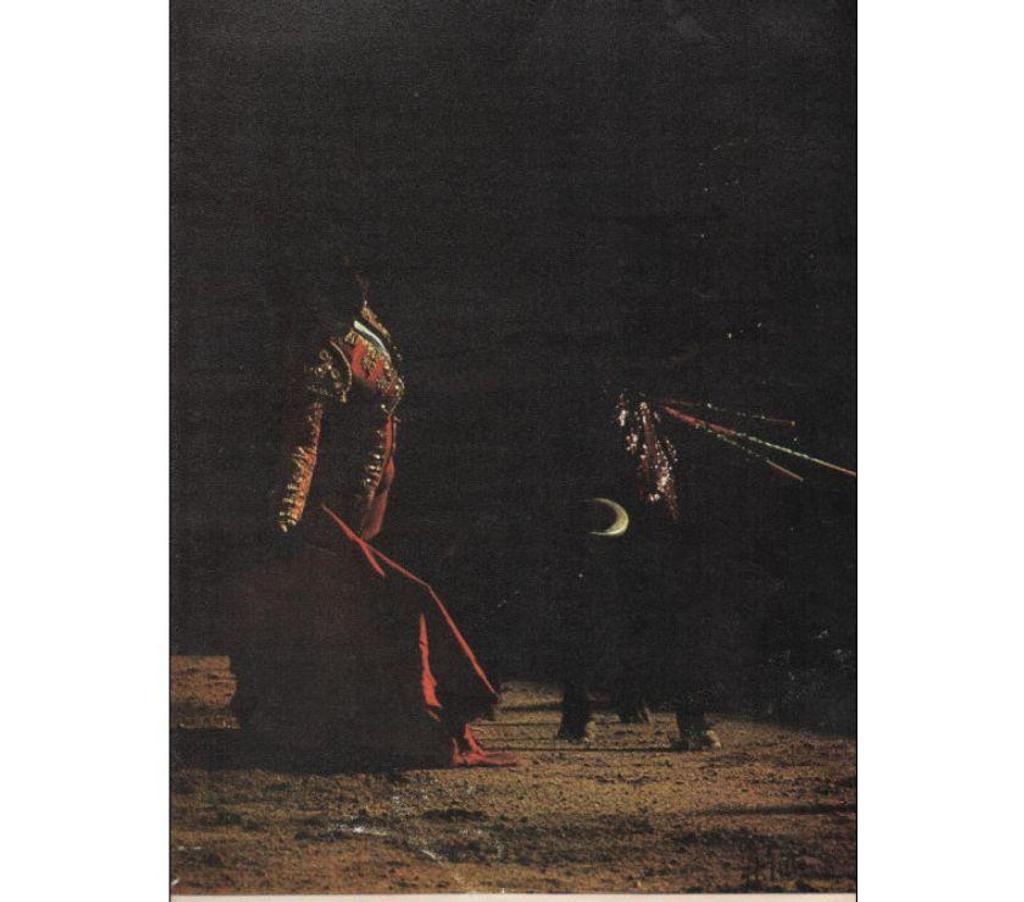 Décoration - art Tarn-et-Garonne Montauban - 82000 - Photos Vivastreet Reproduction photo toromachie : torero et taureau