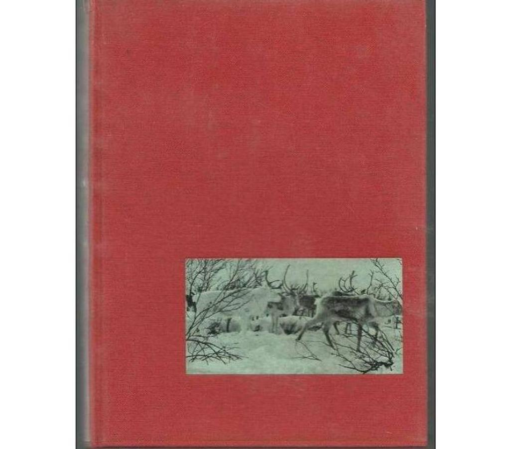Livres occasion Tarn-et-Garonne Montauban - 82000 - Photos Vivastreet Roger FRISON ROCHE Le rapt