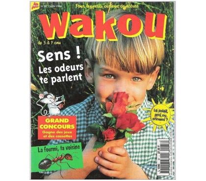 Livres occasion Montauban Tarn-et-Garonne - Photos Vivastreet WAKOU n° 87 de juin 1996, La fourmi ta voisine
