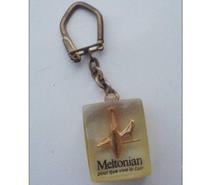 Porte cle à inclusion MELTONIAN Pour que vive le