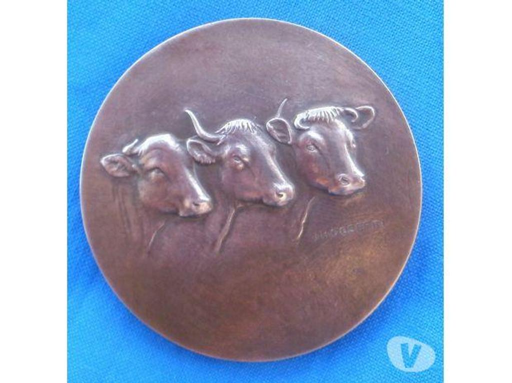 Collection Tarn-et-Garonne Montauban - 82000 - Photos Vivastreet Medaille bronze J H COEFFIN (motif vache)