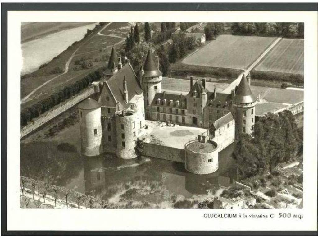 Décoration - art Tarn-et-Garonne Montauban - 82000 - Photos Vivastreet SULLY LOIRE - reproduction photo 22x14.5 cm