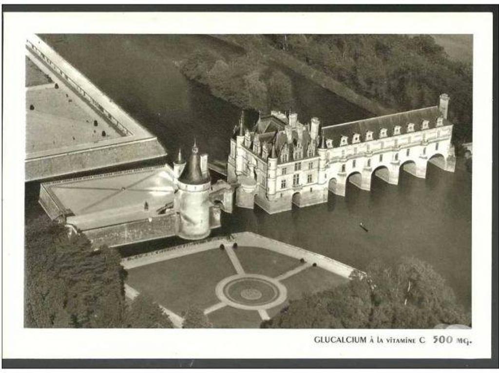 Décoration - art Tarn-et-Garonne Montauban - 82000 - Photos Vivastreet CHATEAU de CHENONCEAUX - reproduction 22x 14.5 cm