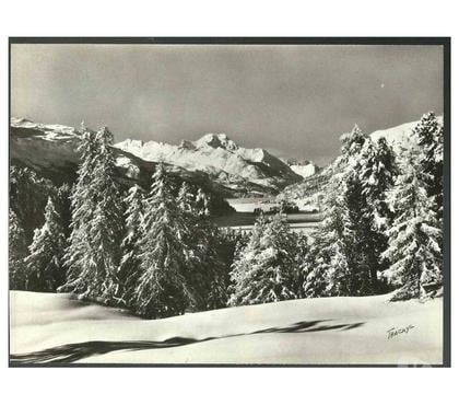 Décoration-Art-Antiquité Montauban Tarn-et-Garonne - Photos Vivastreet LA SUISSE Environs de St MORITZ - reproduction