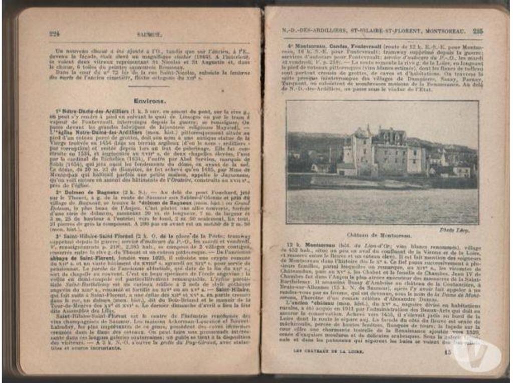 Livres occasion Tarn-et-Garonne Montauban - 82000 - Photos Vivastreet LES GUIDES ILLUSTRES LES CHATEAUX de la LOIRE