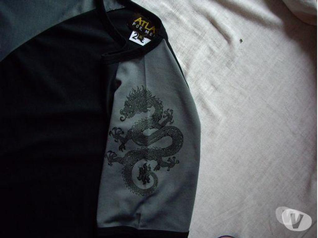 Vêtements occasion Bas-Rhin Bouxwiller - 67330 - Photos Vivastreet T-shirt Atlas for Men motif dragon T.XL