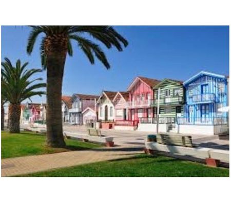 location saisonniere Portugal - Photos Vivastreet VIVE LES VACANCES PAS CHER PROCHE D'AVEIRO !!!!