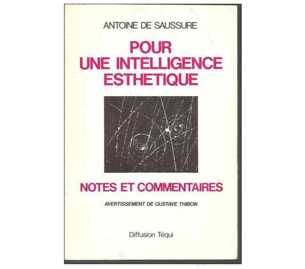 Livres occasion Tarn-et-Garonne Montauban - 82000 - Photos Vivastreet Antoine de SAUSSURE Pour une intelligence esthetique