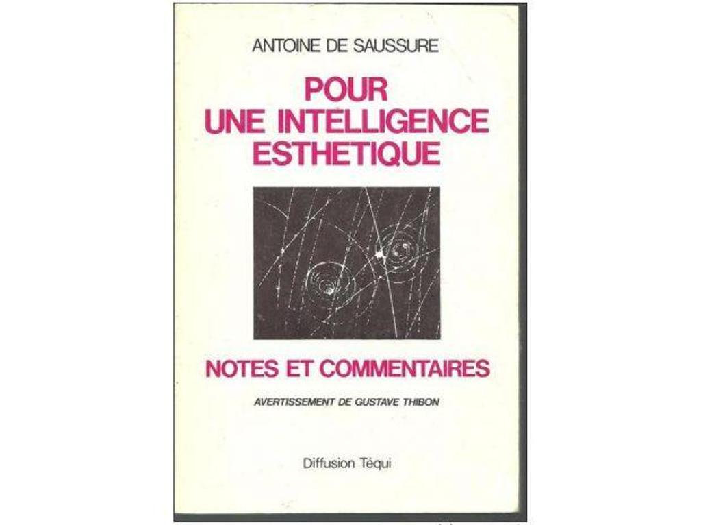 Livres occasion Tarn-et-Garonne Montauban - 82000 - Photos Vivastreet Antoine de SAUSSURE Pour une intelligence esthetique