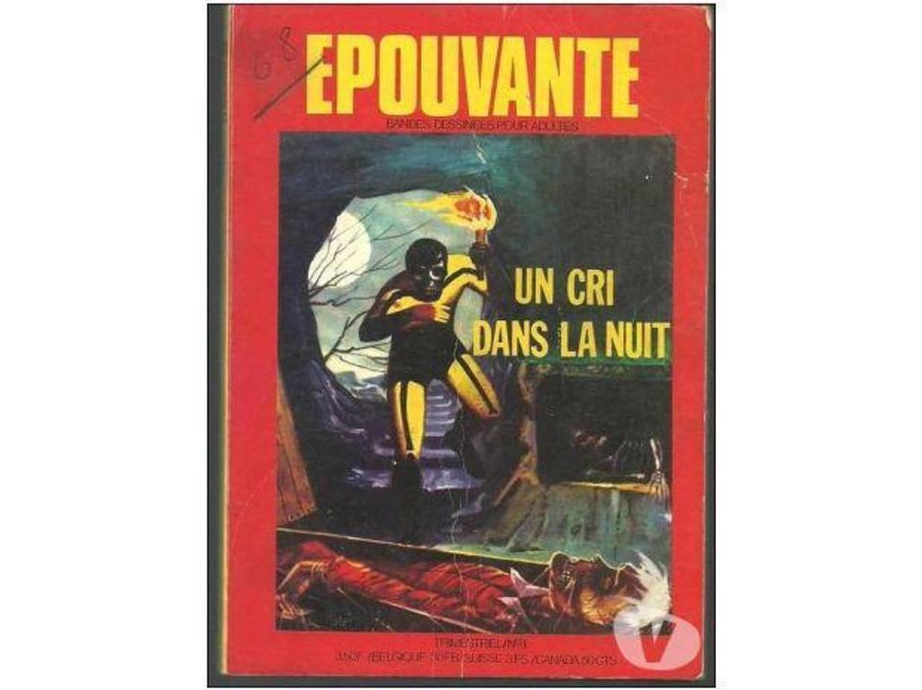 Livres occasion Tarn-et-Garonne Montauban - 82000 - Photos Vivastreet Collection EPOUVANTE Un cri dans la nuit n° 1