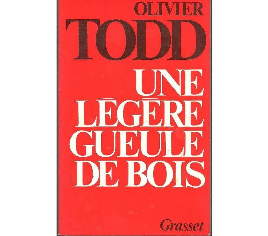 Livres occasion Tarn-et-Garonne Montauban - 82000 - Photos Vivastreet Olivier TODD - une légère gueule de bois