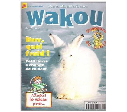 Livres occasion Montauban Tarn-et-Garonne - Photos Vivastreet WAKOU n°94 de janvier 1997 Petit lièvre, le volcan