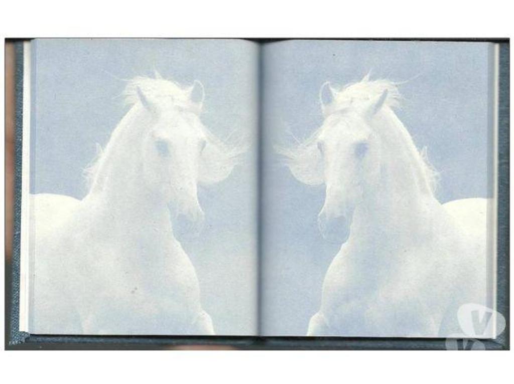Accessoires - Bagagerie Tarn-et-Garonne Montauban - 82000 - Photos Vivastreet Carnet calepin bloc notes au motifs de cheval
