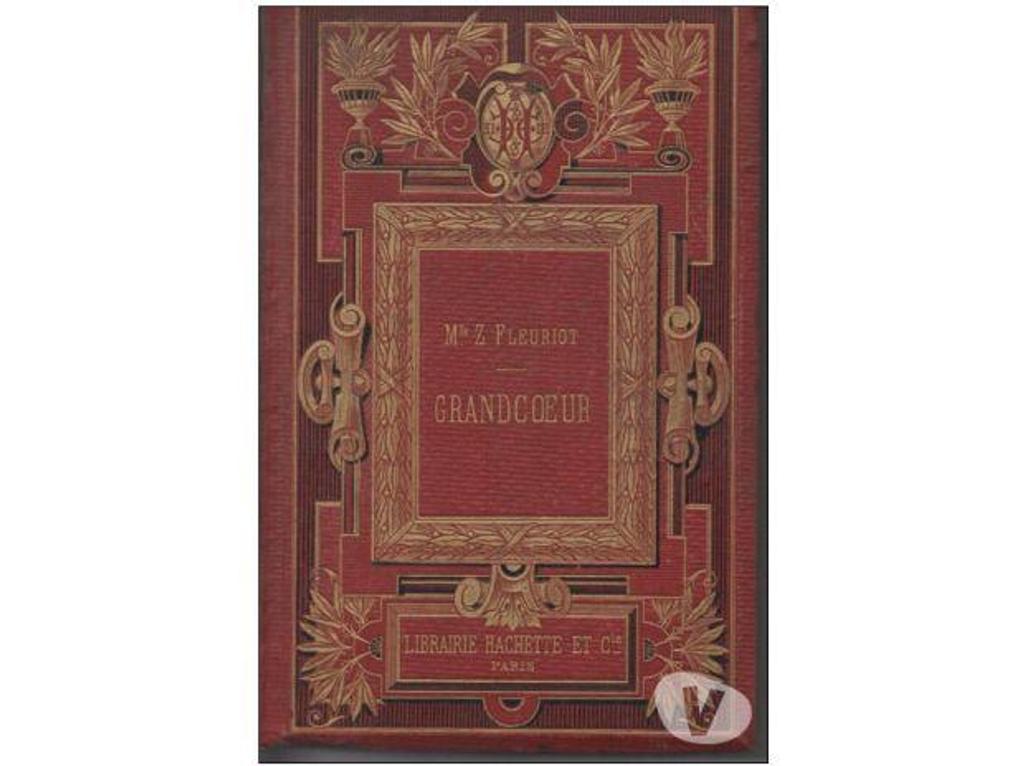 Livres occasion Tarn-et-Garonne Montauban - 82000 - Photos Vivastreet Z. FLEURIOT Grandcoeur 1879