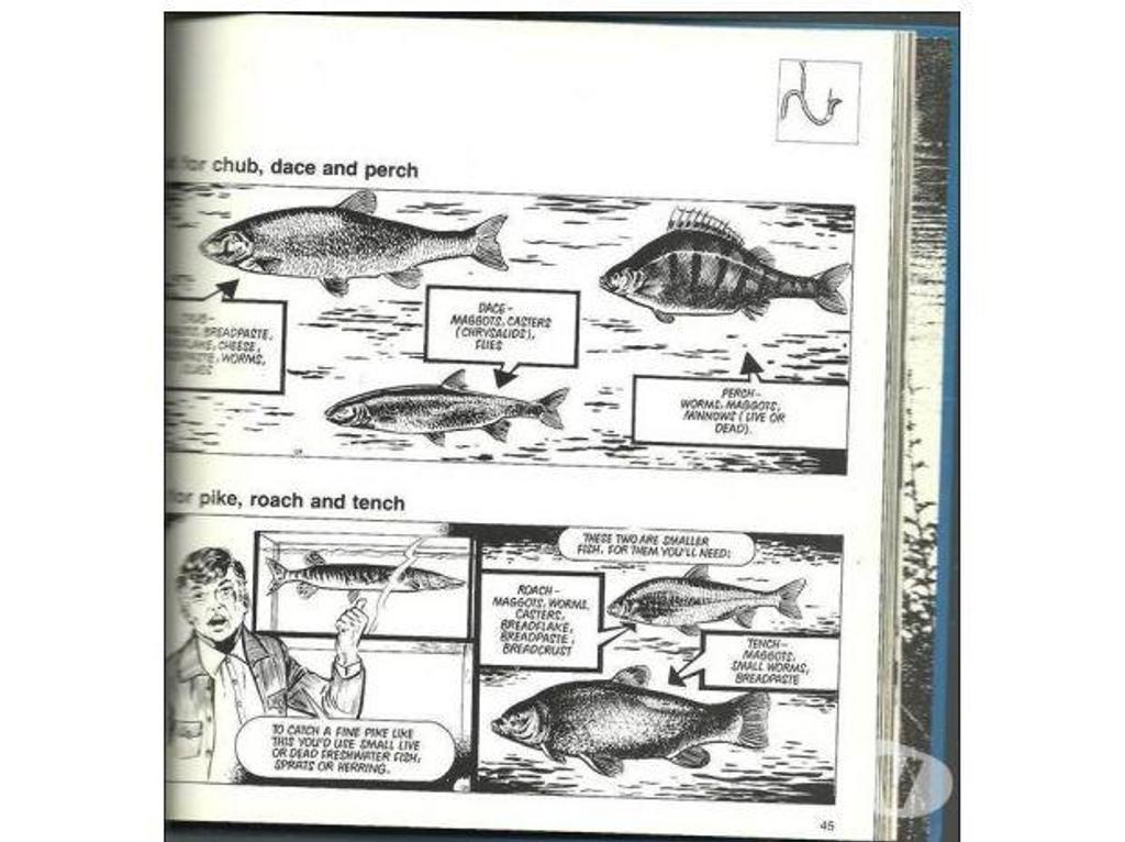 Livres occasion Tarn-et-Garonne Montauban - 82000 - Photos Vivastreet COARSE FISHING bait tackle and technique (anglais)