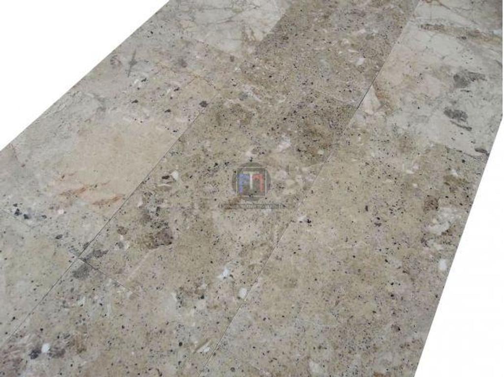 Décoration - art Var Forcalqueiret - 83136 - Photos Vivastreet Marbre Marfil Beige Silver Shell 30 x 60 cm