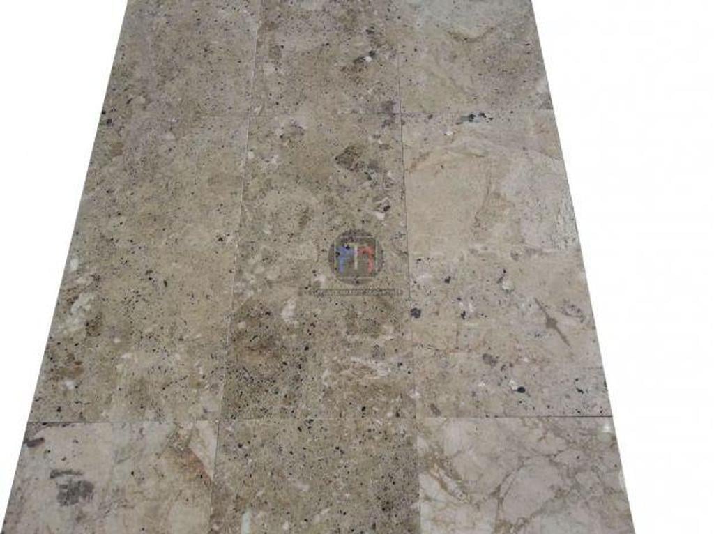 Décoration - art Var Forcalqueiret - 83136 - Photos Vivastreet Marbre Marfil Beige Silver Shell 30 x 60 cm