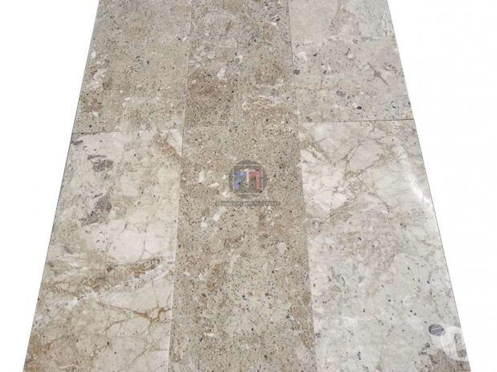 Décoration - art Var Forcalqueiret - 83136 - Photos Vivastreet Marbre Marfil Beige Silver Shell 30 x 60 cm